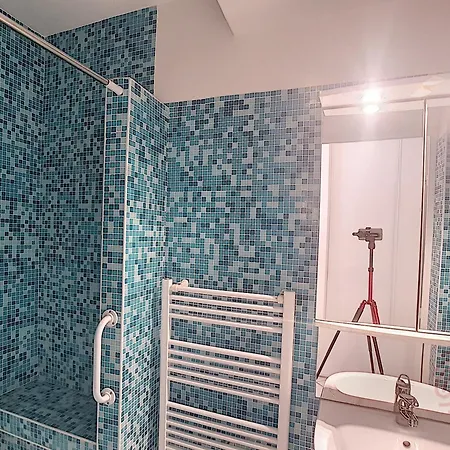 Apartamento F2 Avec Wifi Et Animaux Permis A - Fr-1-451-220 *